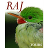 Reliable Adventures Jamaica (RAJ Tours)
