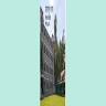 Jamalpur Degree College