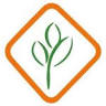 Jamuna Seeds 2