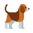 Sasaki Animal Hospital
