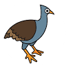 jaragun ecoservices