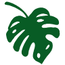 Acapulco Botanical Garden