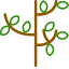 Jardineria hernandez
