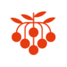 Jarzębinowy Ogród - Agroturystyka