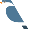 Java Rentals