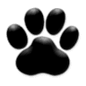 Jefferson County SPCA