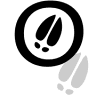 JELONKOWO