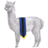 Jennjoley Alpacas