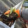 Jesse's Gutter Cleaning and Exteriors
