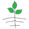 Jo Anne's Place Health Foods