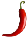 Jollof City Ltd