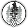 Jones Creek Brewing