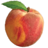 Jones Orchard