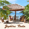 Jophira tintin