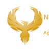 The Law Firm of Nelson & Associates P.A.