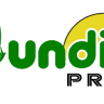 Instituto de Previdência dos Servidores do Município de Jundiá - JUNDIÁPREV