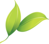 JuneBug Floral Design