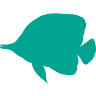 JZ Marine Aquariums