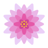 Салон Kiseleva Flowers (цветы на киселева)
