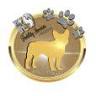 K9 Fertility Services Swansea