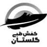 Golestan Medical Shoes کفش طبی گلستان