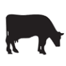 Kalona Creamery