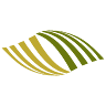 Kalyx