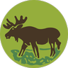 Kampinos National Park