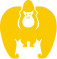 KONG