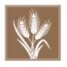 Ward Law LLC