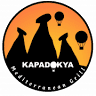Kapadokya Mediterranean Grill
