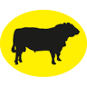 Karpaten Meat Group