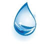 Katt Carpet and Upholstery cleaning