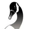 Kaw River Outfitters