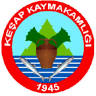 Kesap Malmudurlugu
