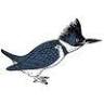 Fran Ford White-crowned Pigeon Preserve