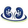 Kidney Group Inc