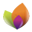 Ki Life Kinesiology