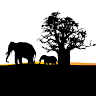 KiliTwende Adventures Limited
