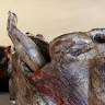 Kim Foale Ceramics