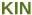 KIN Defense