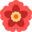Kindred Beauty & Wellness