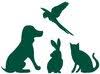 Kingdom Animal Hospital