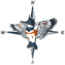 Kingfisher Real Estate Inc