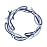 Kinkawooka Shellfish