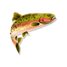 Kirks Flyshop Grand Lake