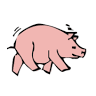 Kite's Hams