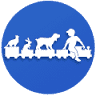 Kitty Hawk Animal Hospital