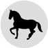 Fortuna Equestrian Club