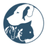 KK’s Holistic Veterinary Service